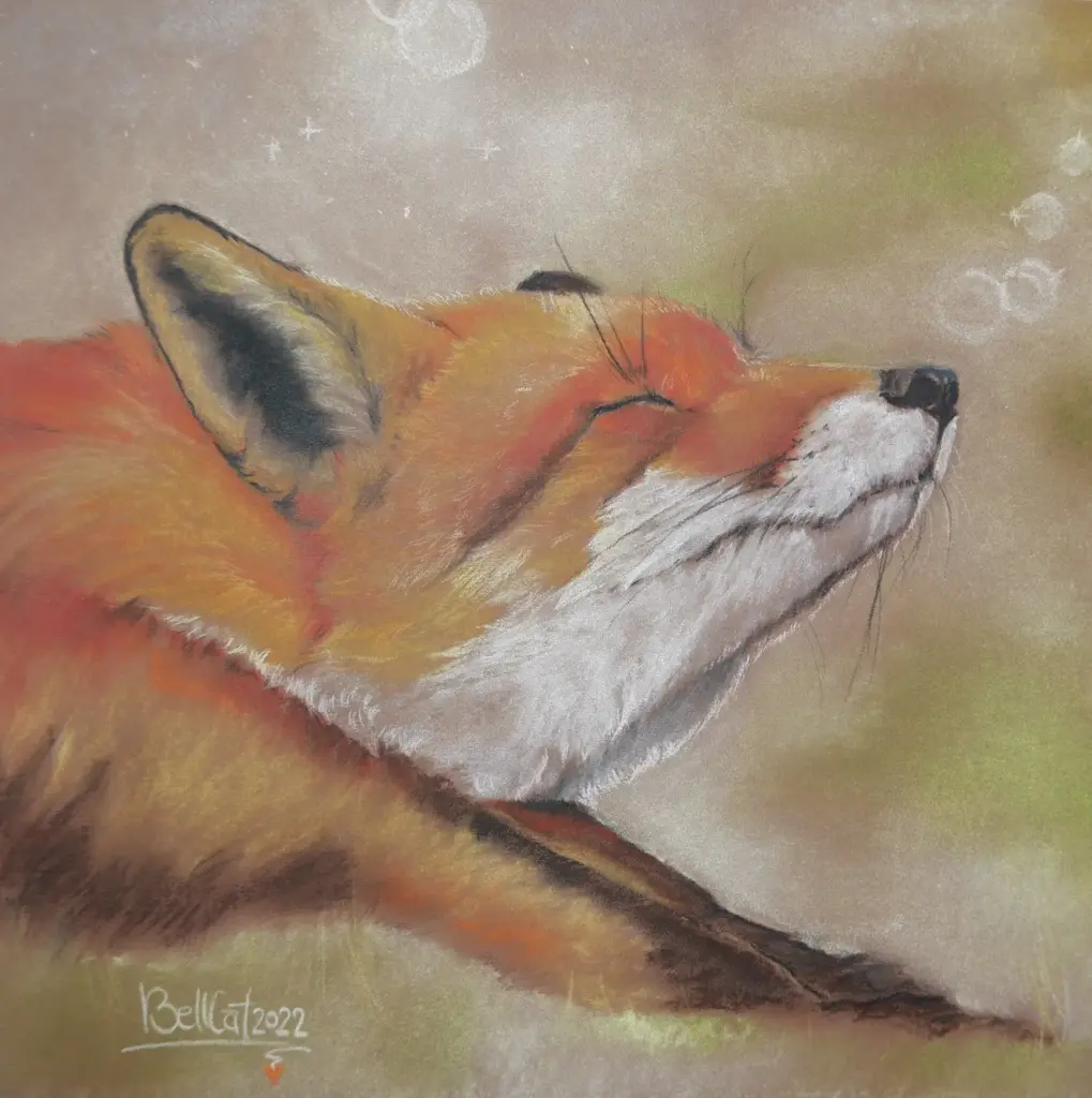 Gemälde, Pastellkreide. Fuchs streckt sich gemütlich in der Sonne